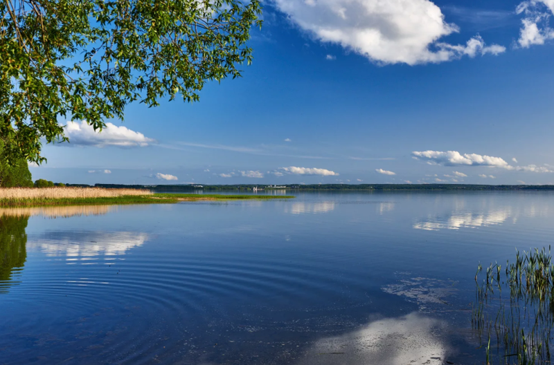 плавание на открытой воде