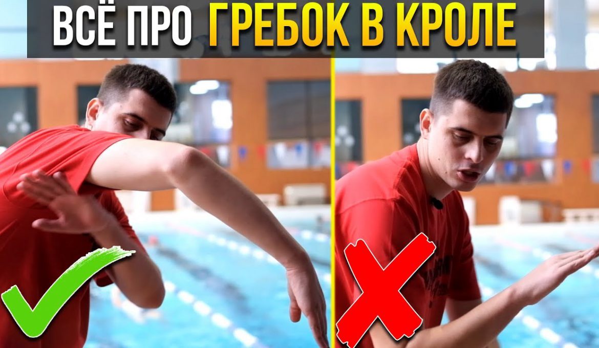 Гребок в кроле. Техника выполнения. Как делать гребок в плавании.