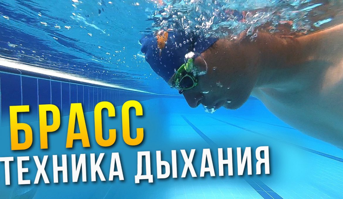 Дыхание в брассе. Научись дышать в брассе за 5 минут