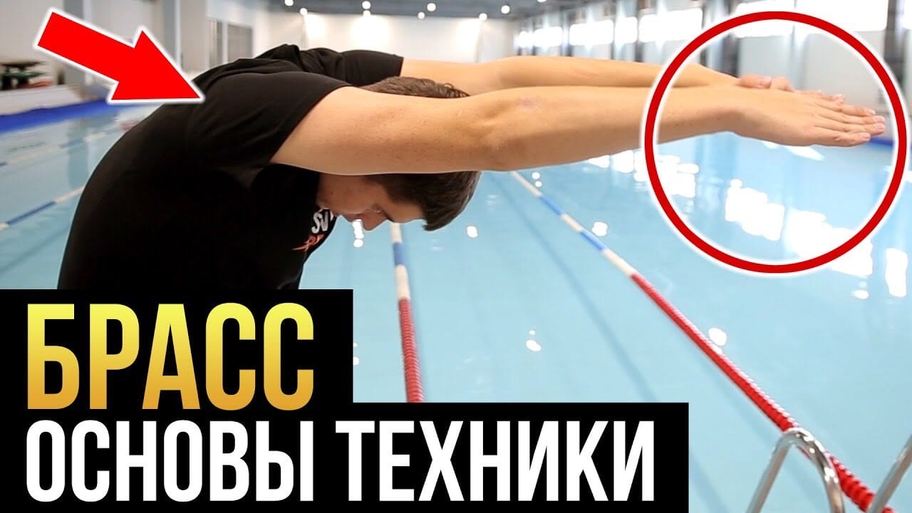 Плавание брассом для начинающих - Блог SWIMROCKET