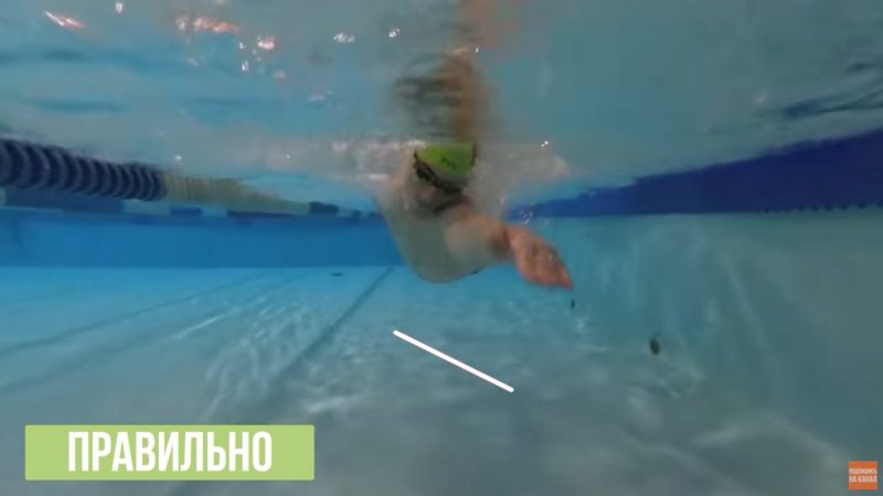 Школа плавания - Swimrocket