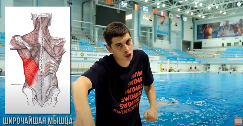Школа плавания - Swimrocket