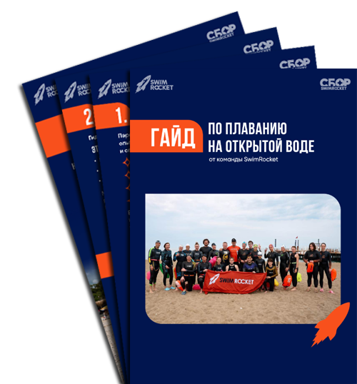 Скачать PDF