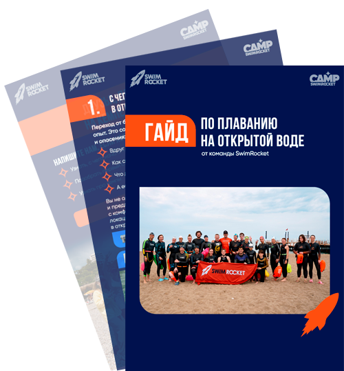 Скачать PDF
