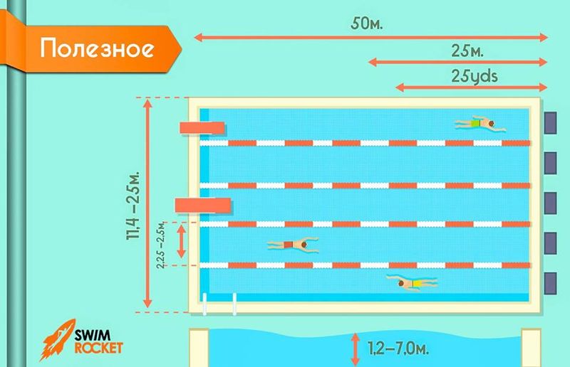 Рубрика «Полезное». Плавательный бассейн.