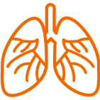 Заболевания дыхательной системы (астма и бронхит)