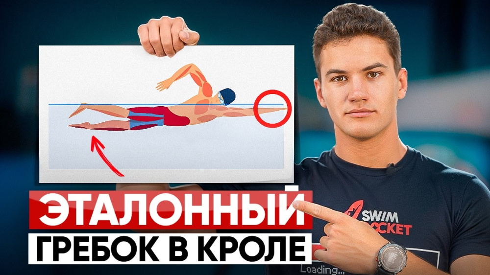 Как правильно выполнять эталонный гребок в кроле: советы и ошибки начинающих Как правильно выполнять эталонный гребок в кроле: советы и ошибки начинающих