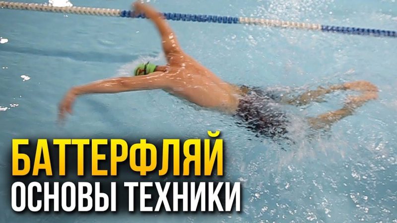 Как плыть баттерфляем