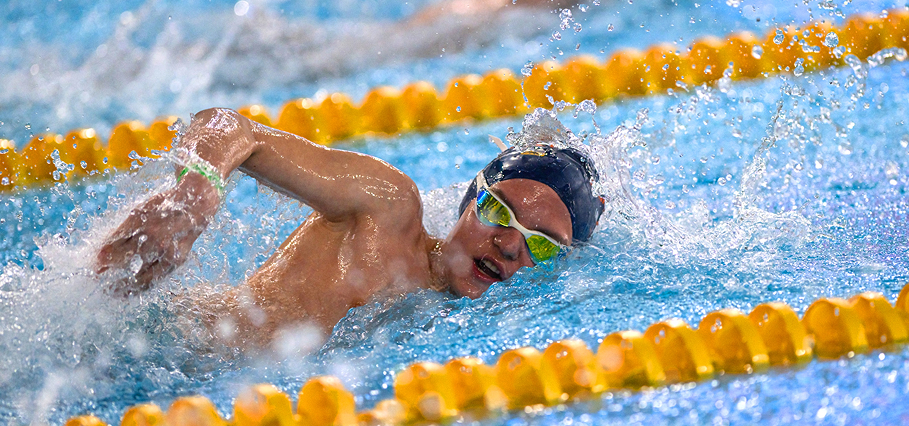 Сформированный график тренировок