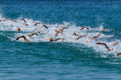 Russian openwater Championships: assistance with registration
