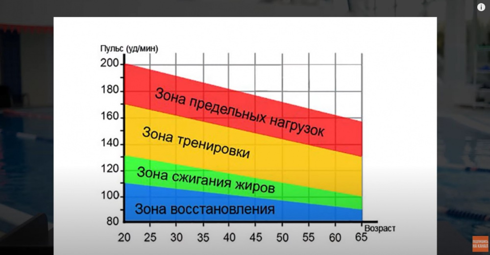 Пульсовые зоны в плавании: разминка, похудение, аэробная, анаэробная и максимальная