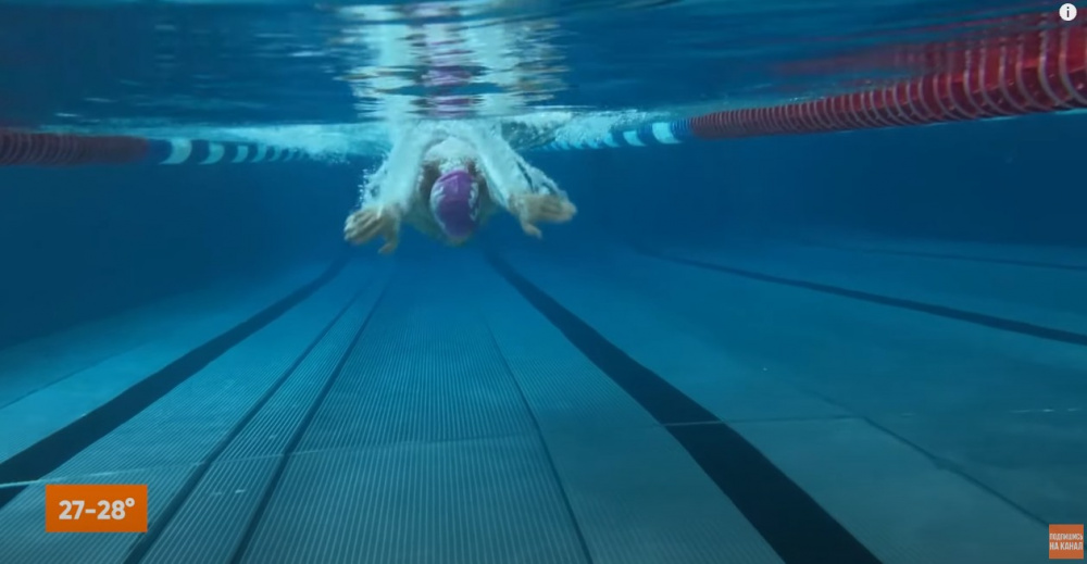 Как плавание влияет на наш организм: польза плавания