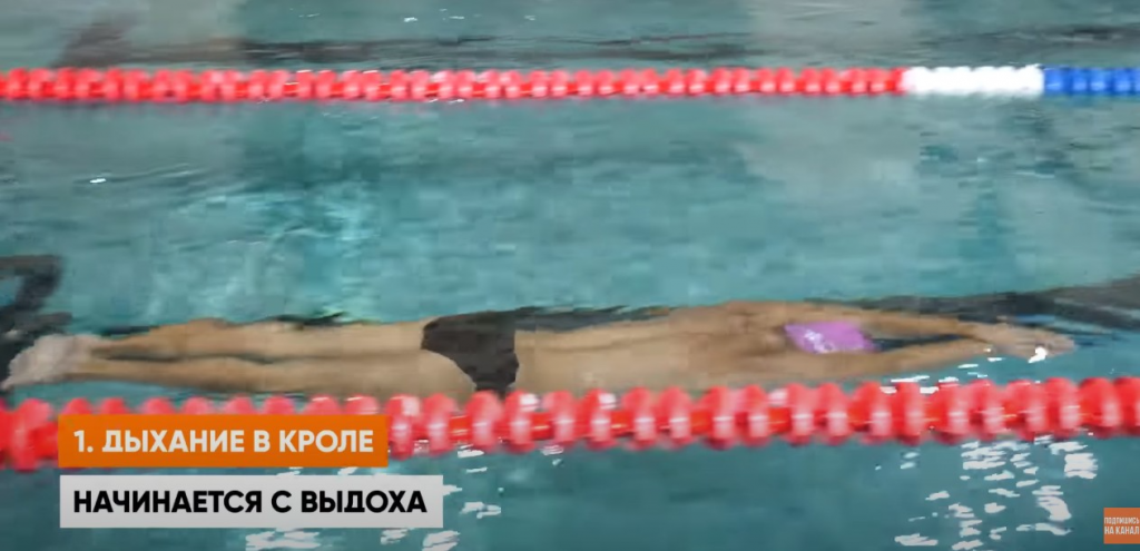 Школа плавания - Swimrocket