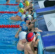 Школа плавания - Swimrocket