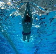 Школа плавания - Swimrocket