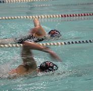 Школа плавания - Swimrocket