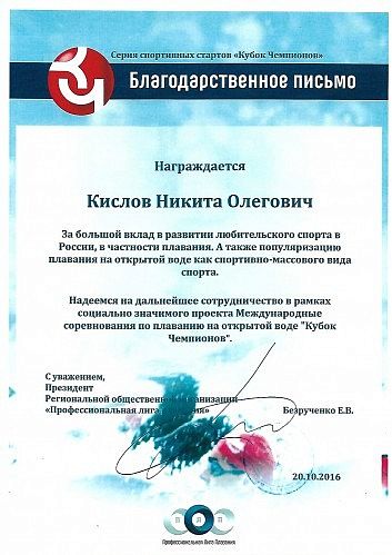 Благодарственное письмо от Кубка Чемпионов Благодарственное письмо от Кубка Чемпионов