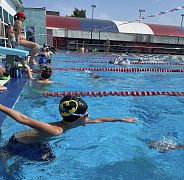 Школа плавания - Swimrocket