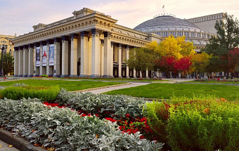 Школа плавания - Swimrocket