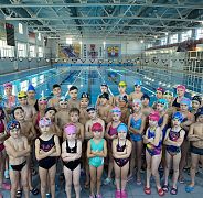 Школа плавания - Swimrocket